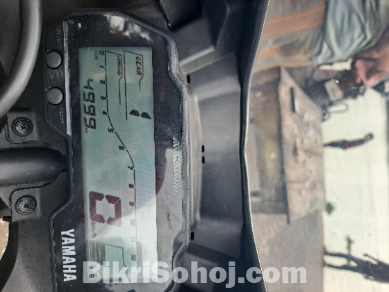 OFFICIAL R15 V3 2024